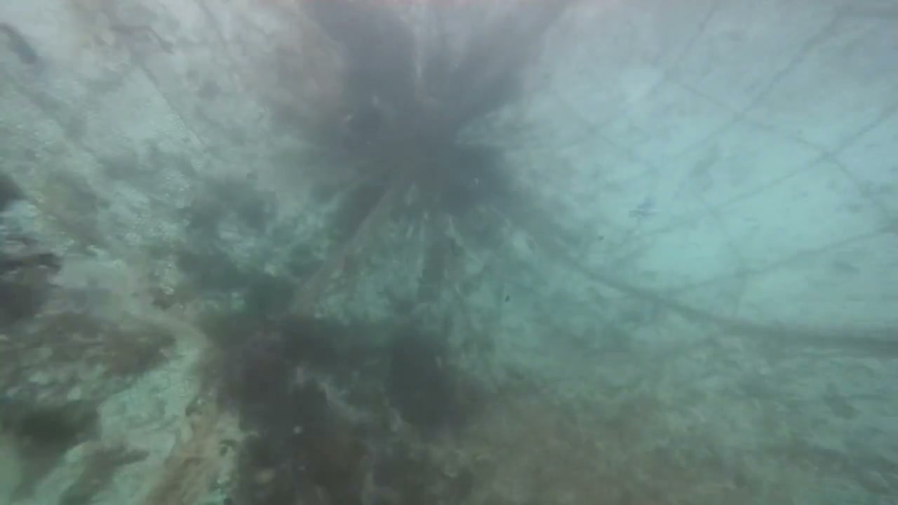 核电站冷源滤网检测