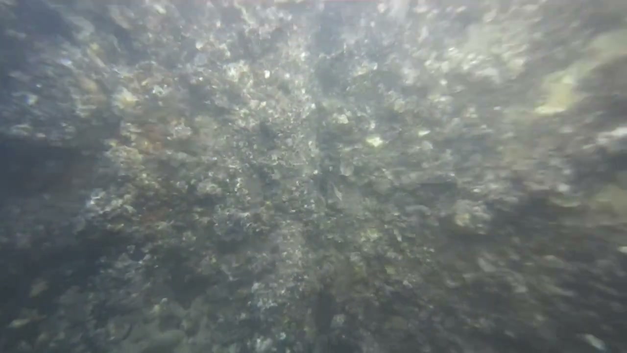 港口码头建设检测